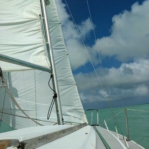 Meet your Posher, Shayna